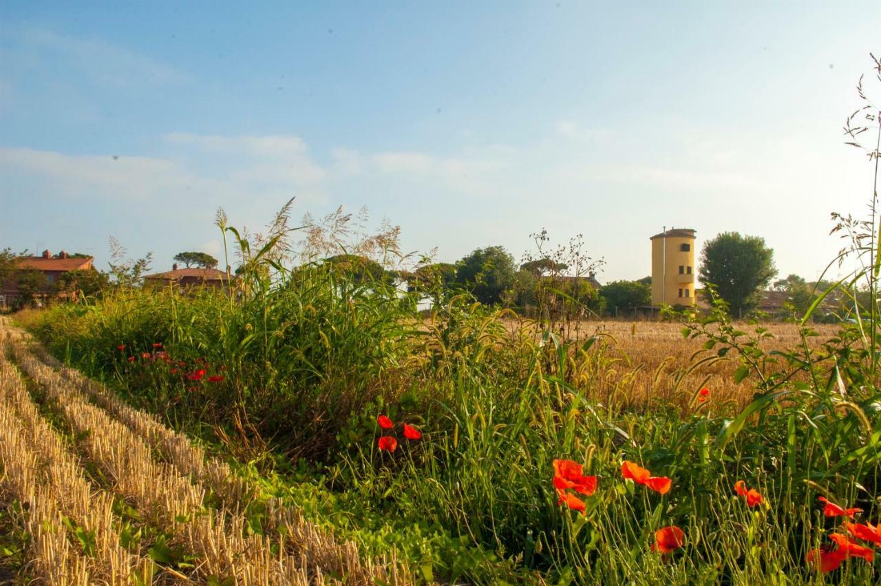 Il Silos Макарезе Екстериор снимка