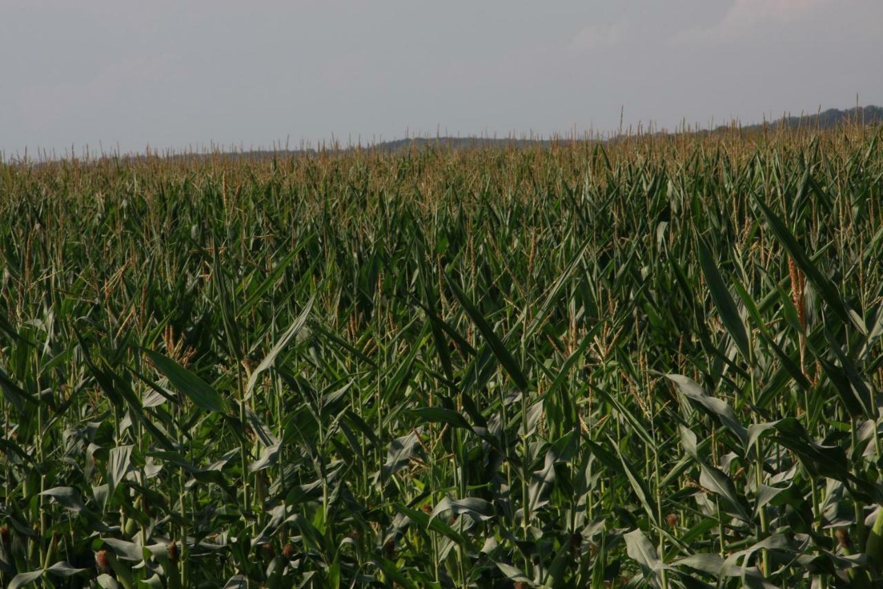 Il Silos Макарезе Екстериор снимка