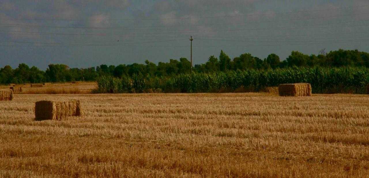 Il Silos Макарезе Екстериор снимка